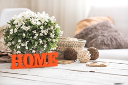 הגשת תביעת ביטוח בזמן הגשת תביעת ביטוח בזמן