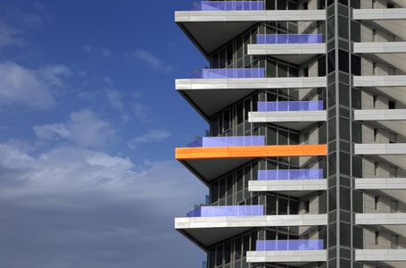 דירה מכוסה נגד נשיכת כלב דירה מכוסה נגד נשיכת כלב