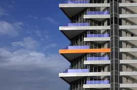 דירה מכוסה נגד נשיכת כלב דירה מכוסה נגד נשיכת כלב